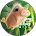 Guarantee Restoration Services logo